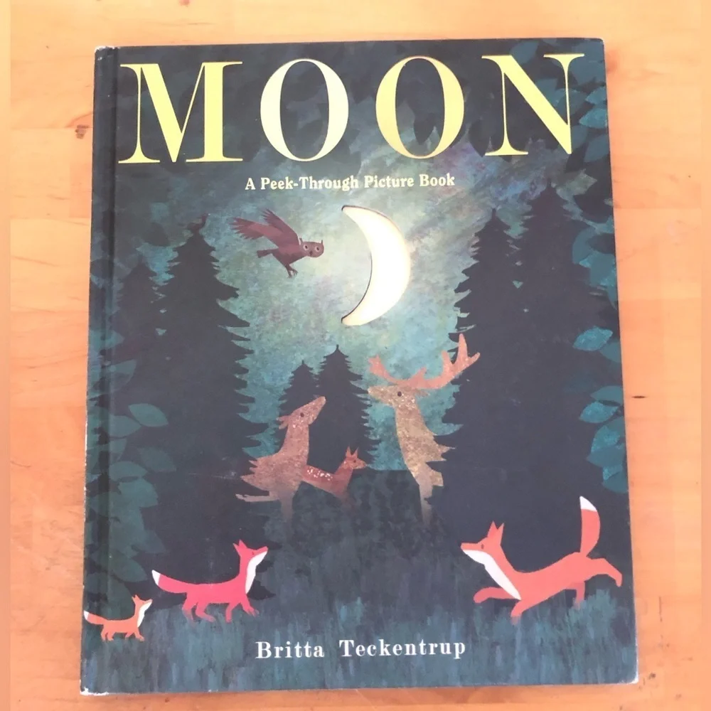 Moon Peek-Through Picture Book by Britta Teckentrup 2017 hardcover